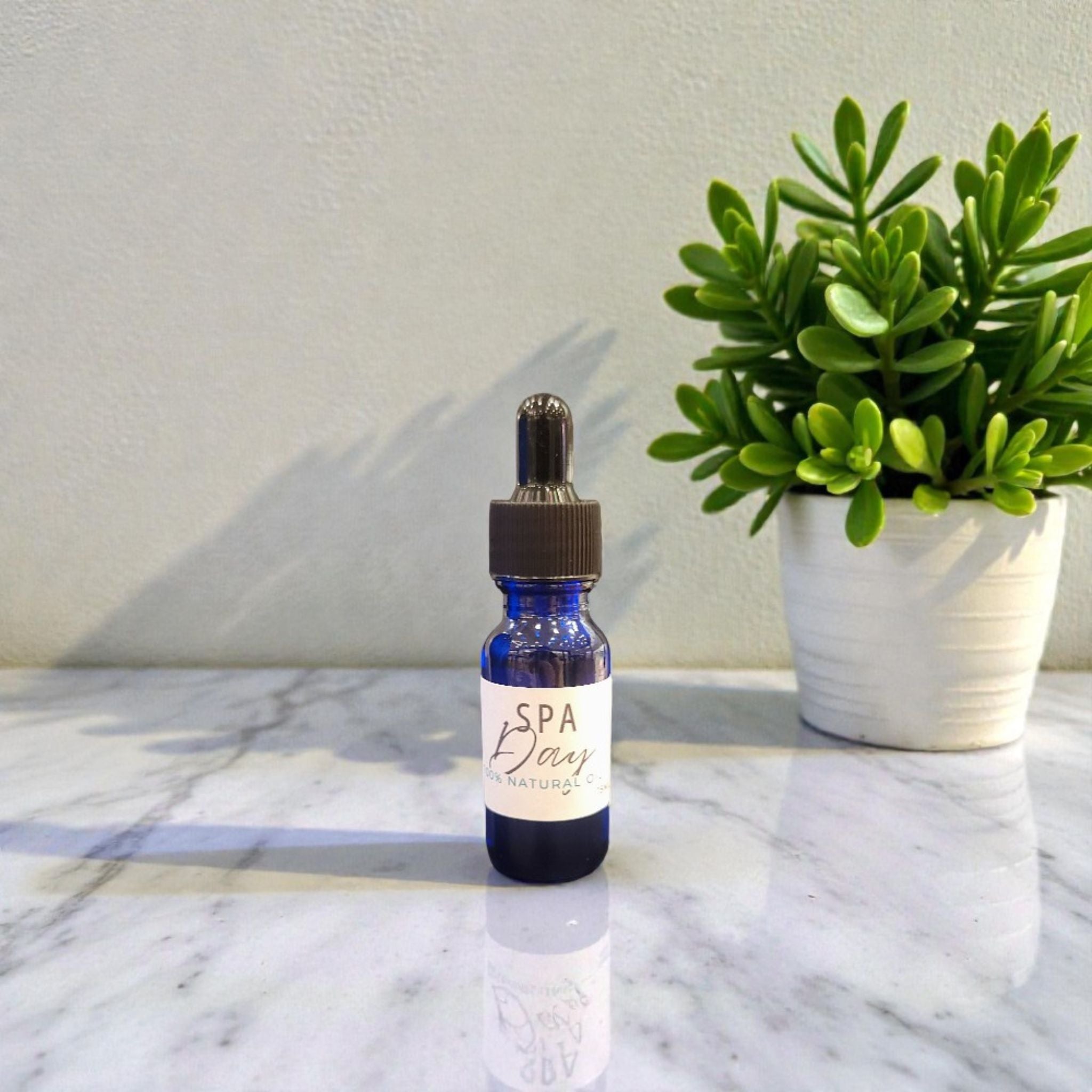 Diffuser Oil – TS HOME STUDIO