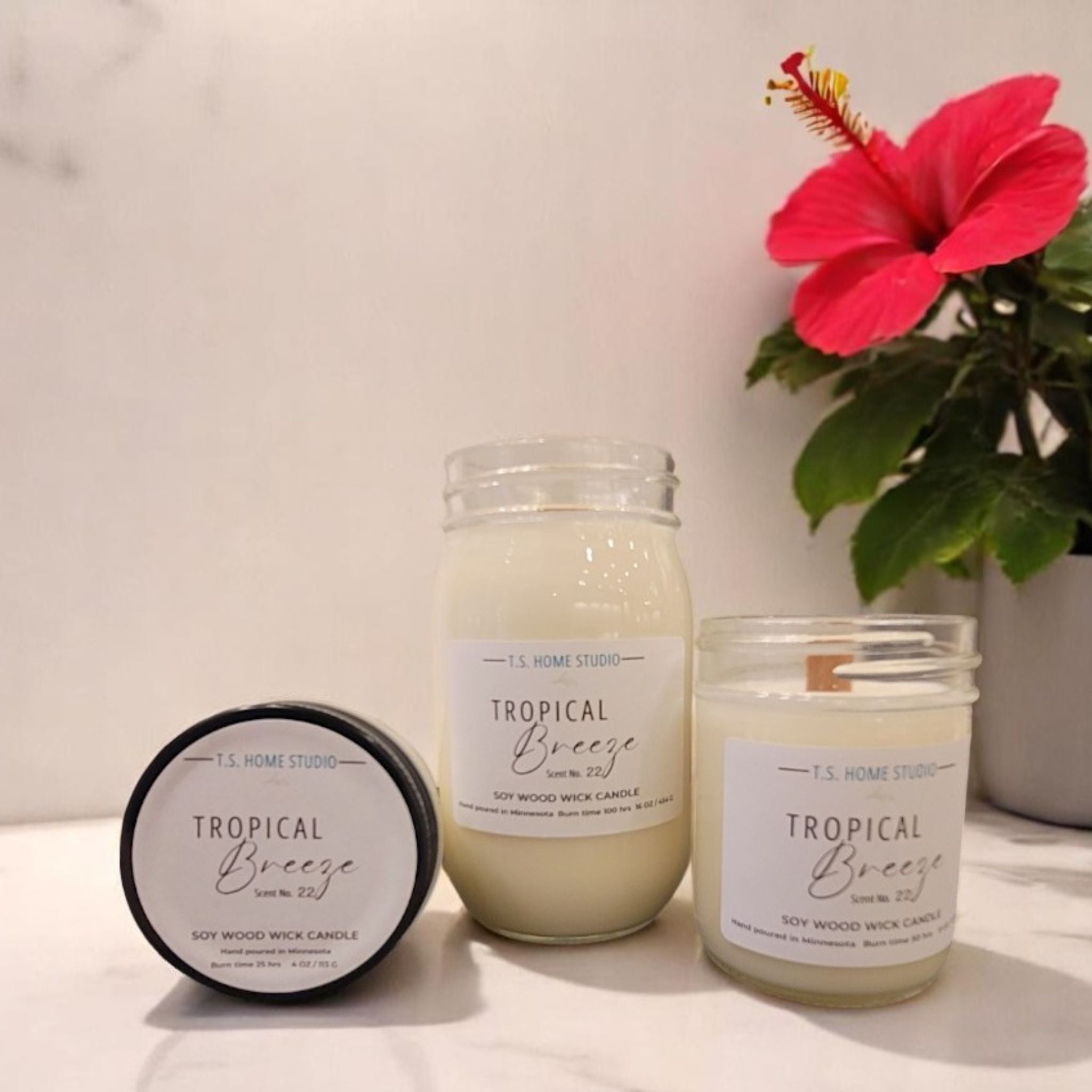 Sparkling Mimosa Soy Wood Wick Candle – TS HOME STUDIO